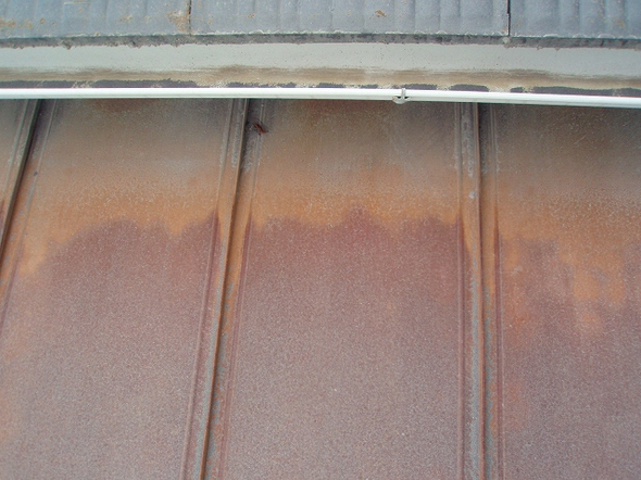 s-P5190122.jpg