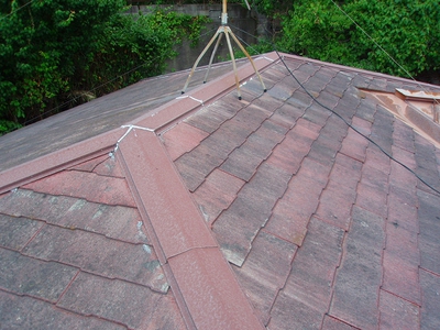s-P6030194.jpg