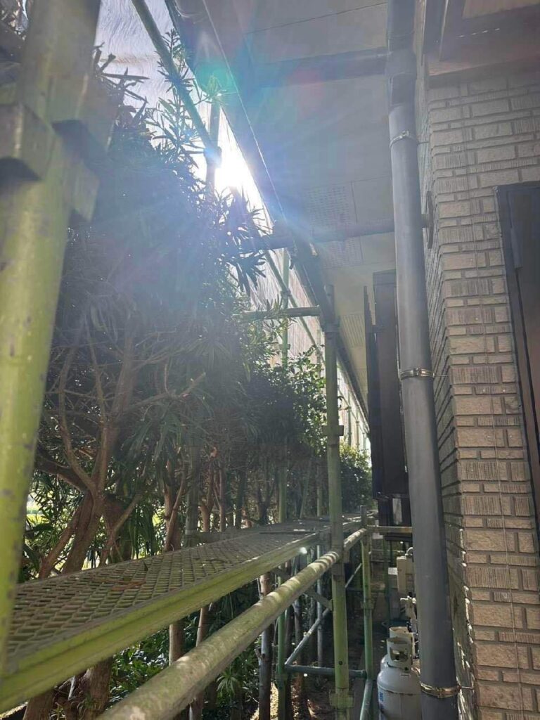 植栽を傷つけないよう、注意しながら足場を立てます。足場は、安全で効率的な作業と近隣の方々への配慮につながります。 