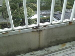 劣化または破損したベランダ屋根を放置することで発生する問題