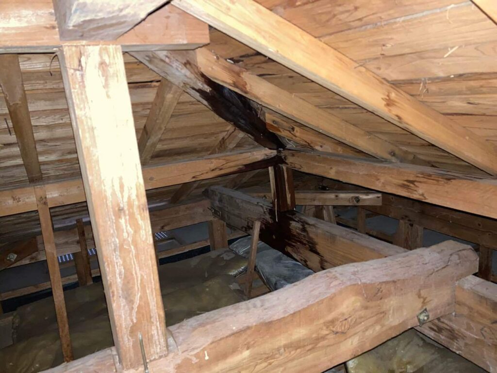 雨漏りが発生した部屋の上部の屋根裏を調査したところ、雨染みを確認しました。