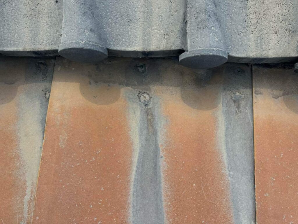 しっかりと現地調査を行い、トイレと玄関の銅板屋根に生じた腐食部分から雨水が浸入していることを確認しました。