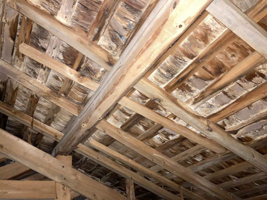 小屋裏には雨染みが見られ、経年劣化した瓦屋根からの雨漏りであると考えられました。