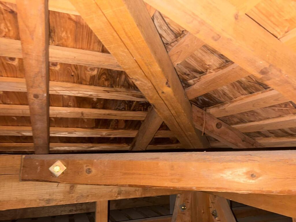 小屋裏の調査では、棟下の野地板に雨漏りの跡を確認しました。
