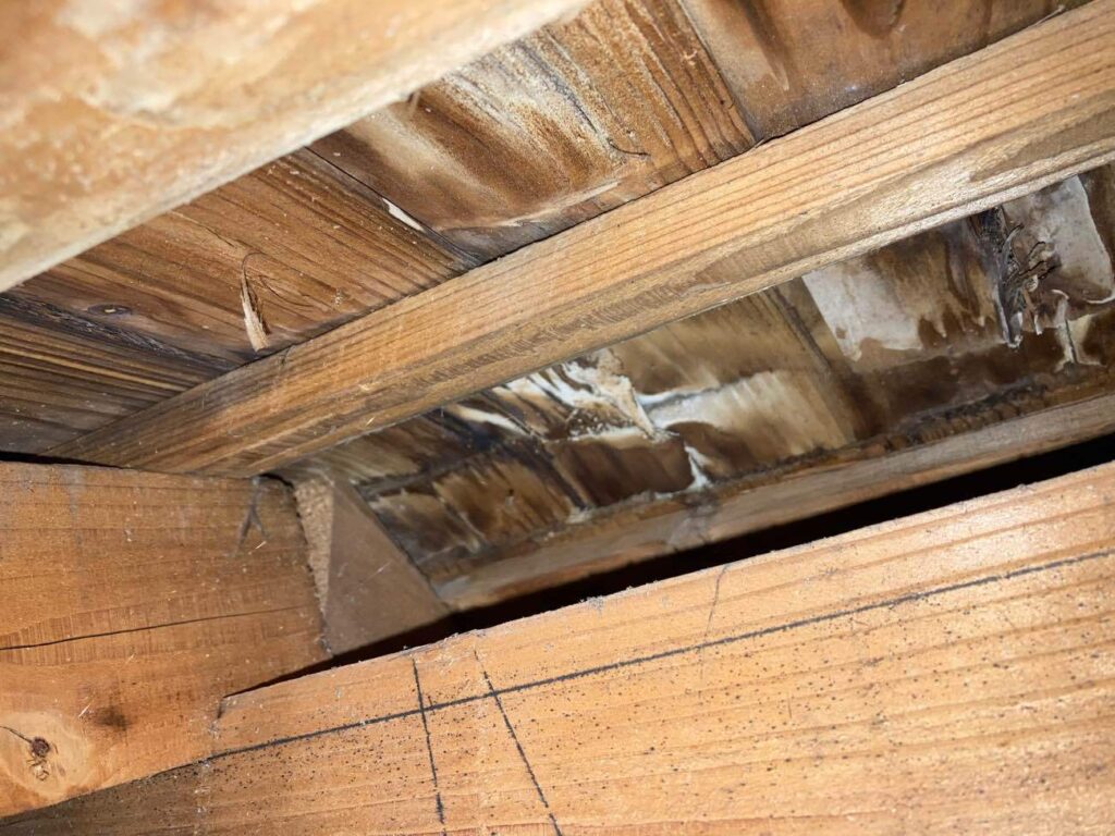 天井裏の調査では、屋根の棟付近から流れたと思われる雨染みを確認しました。
