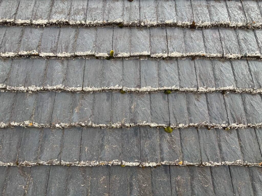 瓦の割れや傷みにより、屋根全体の防水性が低下している状態でした。雨漏りを確実に止めるため、屋根の葺き替えをご提案しました。