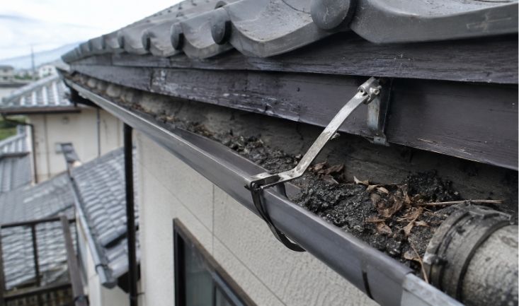 雨樋修理だけで済むか屋根点検も必要かを判断するポイント
