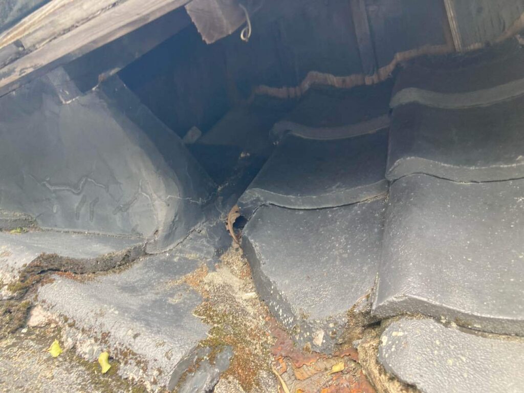 屋根のところどころには苔も見られ、長年の風雨による傷みがうかがえました。表面の劣化が進み、屋根本来の役割が弱くなっている状態でした。