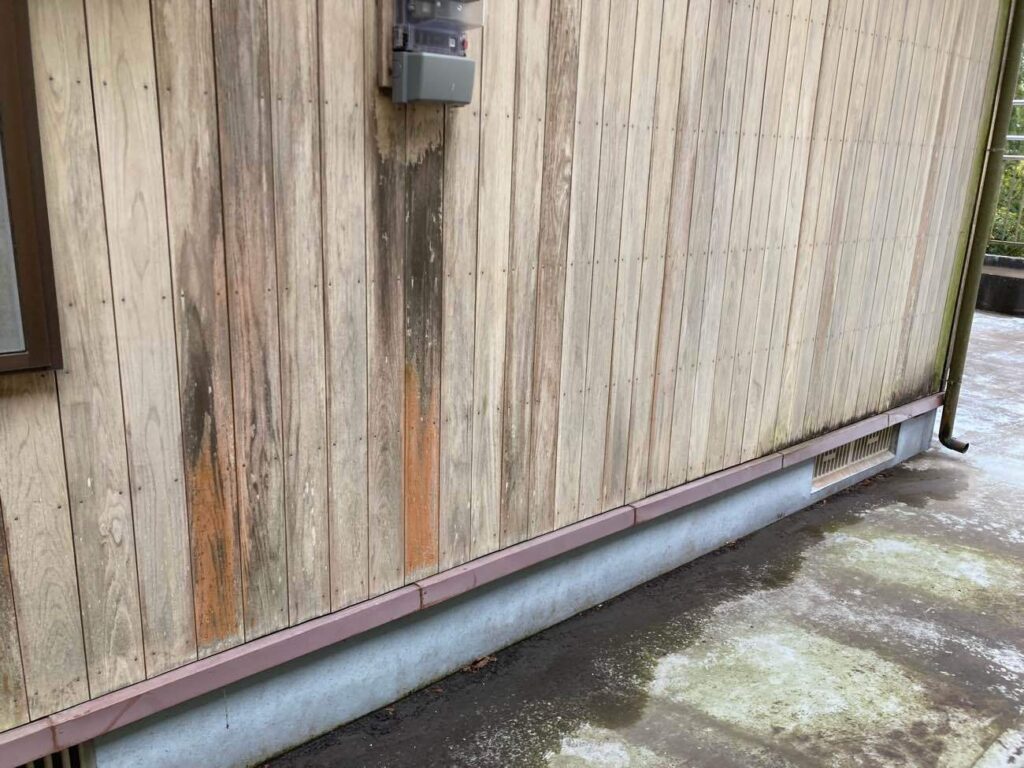 外壁の足元には、苔や汚れが目立ちはじめていました。